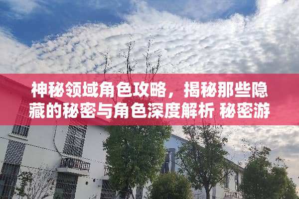 神秘领域角色攻略,揭秘那些隐藏的秘密与角色深度解析 秘密游戏可攻略角色 神秘领域角色攻略,揭秘那些隐藏的秘密与角色深度解析 秘密游戏可攻略角色