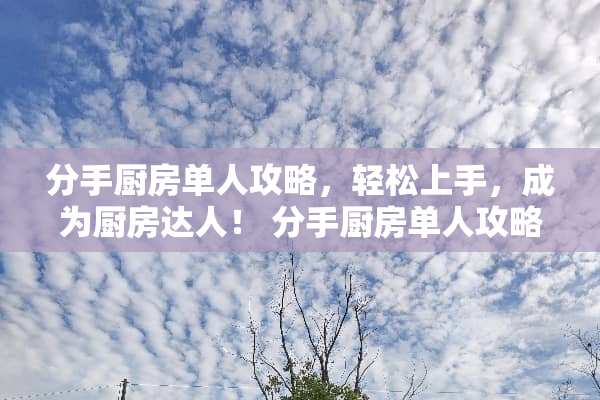 分手厨房单人攻略,轻松上手,成为厨房达人! 分手厨房单人攻略游戏 分手厨房单人攻略,轻松上手,成为厨房达人! 分手厨房单人攻略游戏