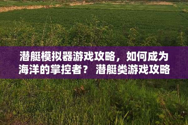 潜艇模拟器游戏攻略,如何成为海洋的掌控者? 潜艇类游戏攻略 潜艇模拟器游戏攻略,如何成为海洋的掌控者? 潜艇类游戏攻略