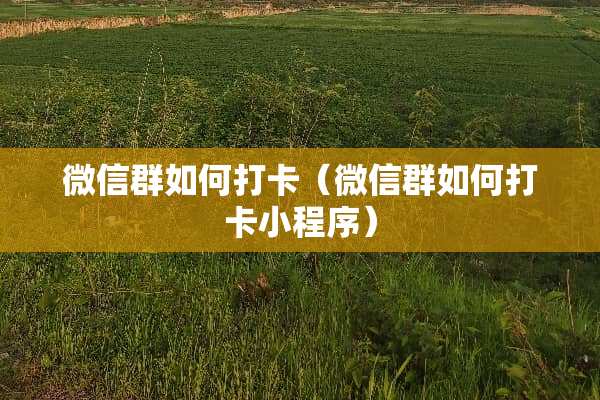 微信群如何打卡(微信群如何打卡小程序) 微信群如何打卡(微信群如何打卡小程序)