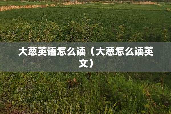 大葱英语怎么读（大葱怎么读英文）