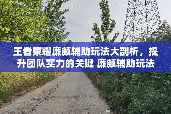 王者荣耀廉颇辅助玩法大剖析,提升团队实力的关键 廉颇辅助玩法 王者荣耀廉颇辅助玩法大剖析,提升团队实力的关键 廉颇辅助玩法