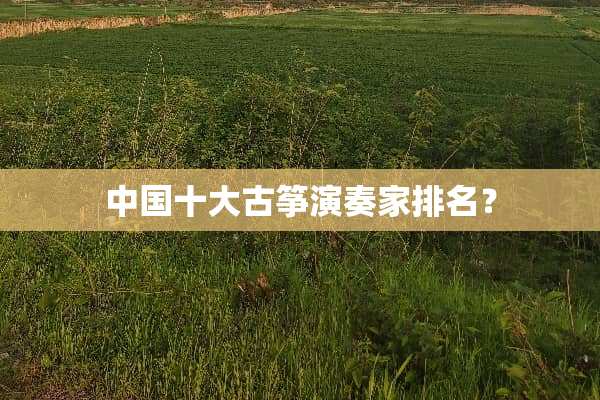 中国十大古筝演奏家排名？