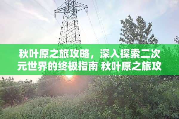 秋叶原之旅攻略,深入探索二次元世界的终极指南 秋叶原之旅攻略 秋叶原之旅攻略,深入探索二次元世界的终极指南 秋叶原之旅攻略