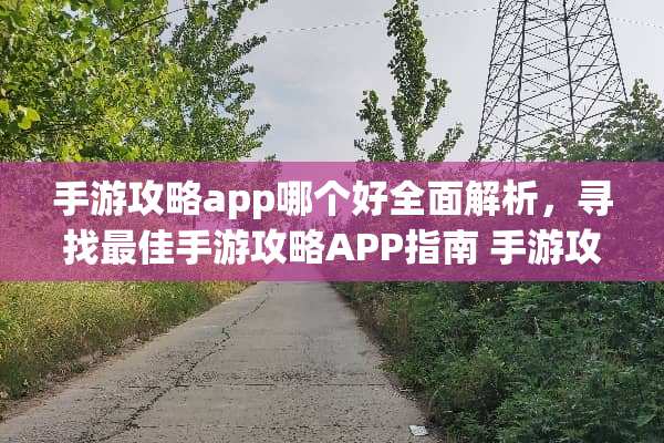 手游攻略app哪个好全面解析，寻找最佳手游攻略APP指南 手游攻略app哪个好