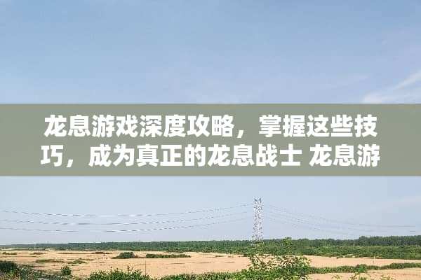 龙息游戏深度攻略，掌握这些技巧，成为真正的龙息战士 龙息游戏攻略