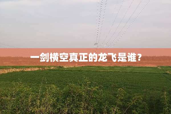 一剑横空真正的龙飞是谁？