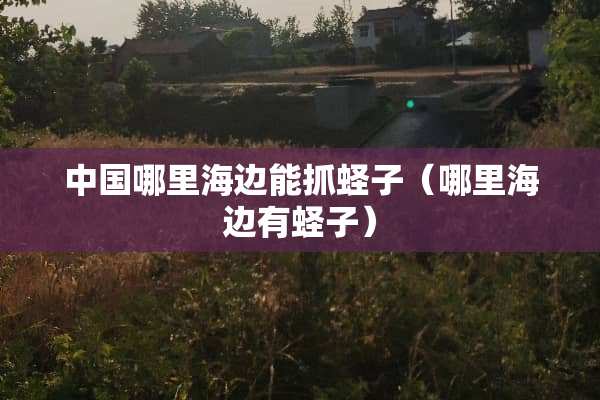 中国哪里海边能抓蛏子（哪里海边有蛏子）