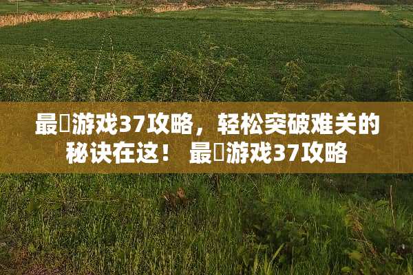 最囧游戏37攻略，轻松突破难关的秘诀在这！ 最囧游戏37攻略