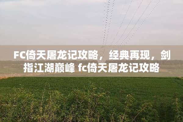FC倚天屠龙记攻略，经典再现，剑指江湖巅峰 fc倚天屠龙记攻略