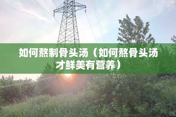 如何熬制骨头汤（如何熬骨头汤才鲜美有营养）