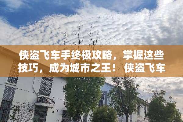 侠盗飞车手终极攻略，掌握这些技巧，成为城市之王！ 侠盗飞车攻略
