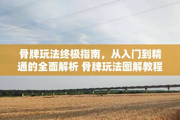 骨牌玩法终极指南,从入门到精通的全面解析 骨牌玩法图解教程 骨牌玩法终极指南,从入门到精通的全面解析 骨牌玩法图解教程