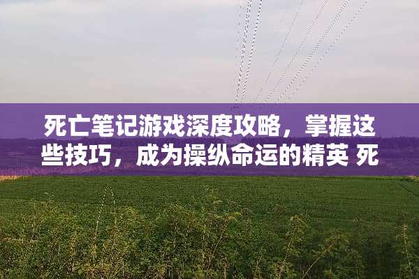 死亡笔记游戏深度攻略，掌握这些技巧，成为操纵命运的精英 死亡笔记游戏攻略