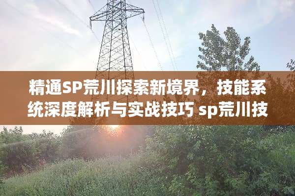 精通SP荒川探索新境界，技能系统深度解析与实战技巧 sp荒川技能