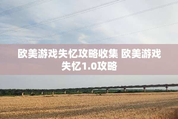 欧美游戏失忆攻略收集 欧美游戏失忆1.0攻略