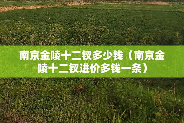 南京金陵十二钗多少钱(南京金陵十二钗进价多钱一条) 南京金陵十二钗多少钱(南京金陵十二钗进价多钱一条)