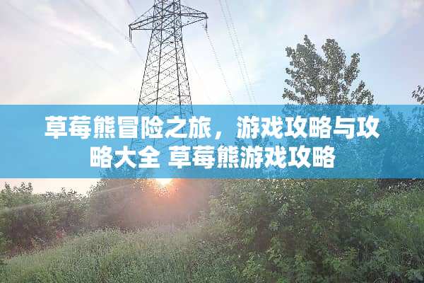 草莓熊冒险之旅，游戏攻略与攻略大全 草莓熊游戏攻略