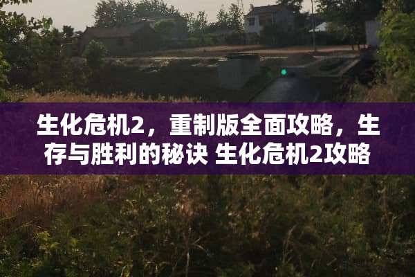 生化危机2，重制版全面攻略，生存与胜利的秘诀 生化危机2攻略
