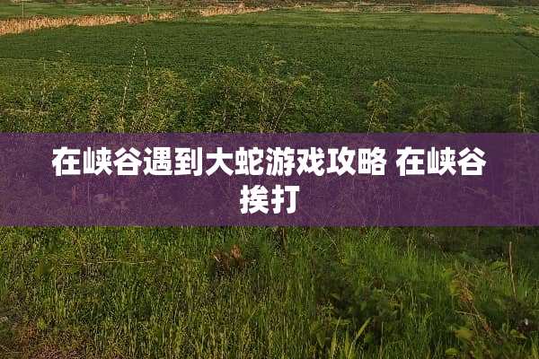 在峡谷遇到大蛇游戏攻略 在峡谷挨打