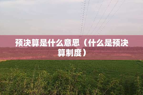 预决算是什么意思(什么是预决算制度) 预决算是什么意思(什么是预决算制度)