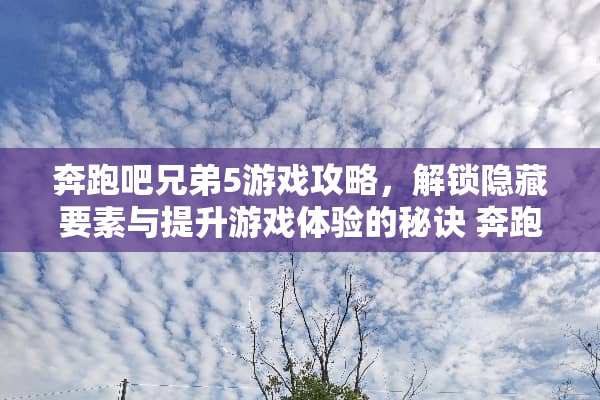奔跑吧兄弟5游戏攻略，解锁隐藏要素与提升游戏体验的秘诀 奔跑吧兄弟5游戏攻略