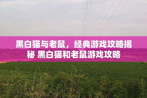 黑白猫与老鼠，经典游戏攻略揭秘 黑白猫和老鼠游戏攻略