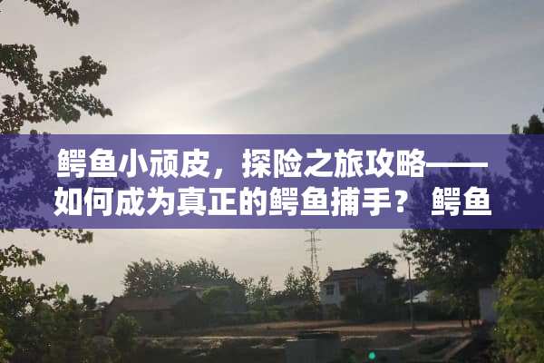 鳄鱼小顽皮，探险之旅攻略——如何成为真正的鳄鱼捕手？ 鳄鱼小顽皮攻略