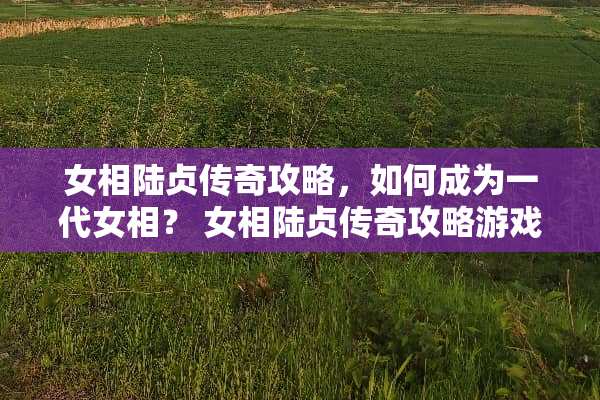 女相陆贞传奇攻略，如何成为一代女相？ 女相陆贞传奇攻略游戏