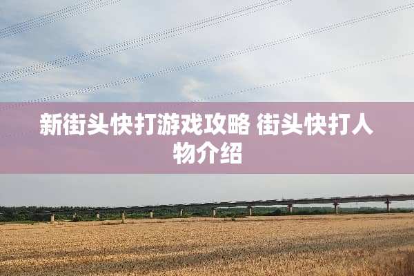 新街头快打游戏攻略 街头快打人物介绍 新街头快打游戏攻略 街头快打人物介绍