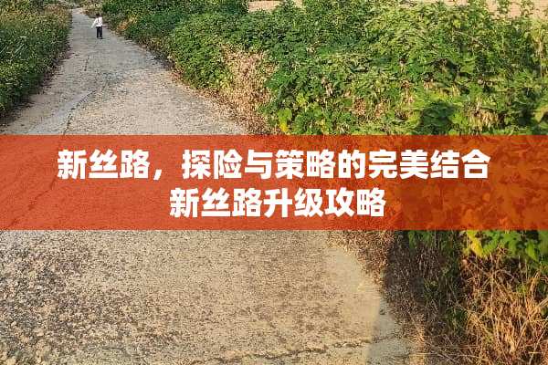 新丝路，探险与策略的完美结合 新丝路升级攻略