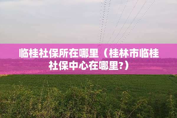 临桂社保所在哪里（桂林市临桂社保中心在哪里?）