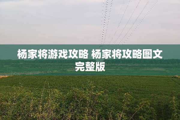 杨家将游戏攻略 杨家将攻略图文完整版 杨家将游戏攻略 杨家将攻略图文完整版
