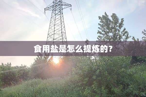 食用盐是怎么提炼的？