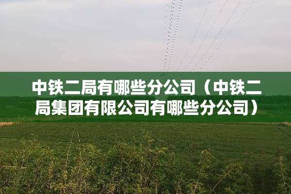 中铁二局有哪些分公司(中铁二局集团有限公司有哪些分公司) 中铁二局有哪些分公司(中铁二局集团有限公司有哪些分公司)