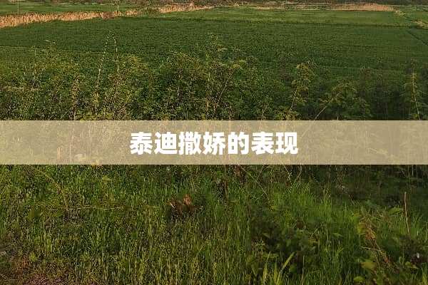 泰迪撒娇的表现