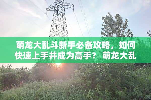 萌龙大乱斗新手必备攻略,如何快速上手并成为高手? 萌龙大乱斗攻略 萌龙大乱斗新手必备攻略,如何快速上手并成为高手? 萌龙大乱斗攻略