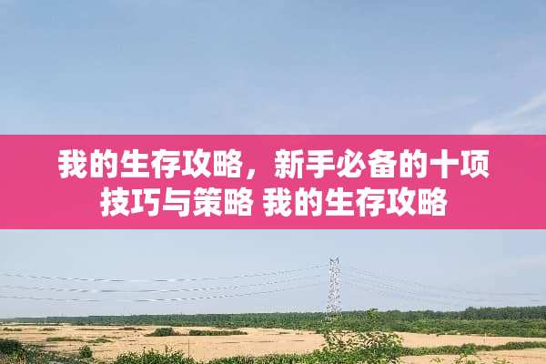 我的生存攻略，新手必备的十项技巧与策略 我的生存攻略