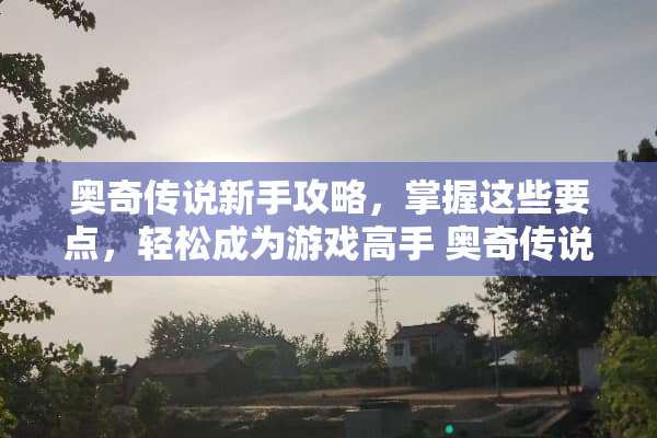 奥奇传说新手攻略,掌握这些要点,轻松成为游戏高手 奥奇传说新手攻略 奥奇传说新手攻略,掌握这些要点,轻松成为游戏高手 奥奇传说新手攻略