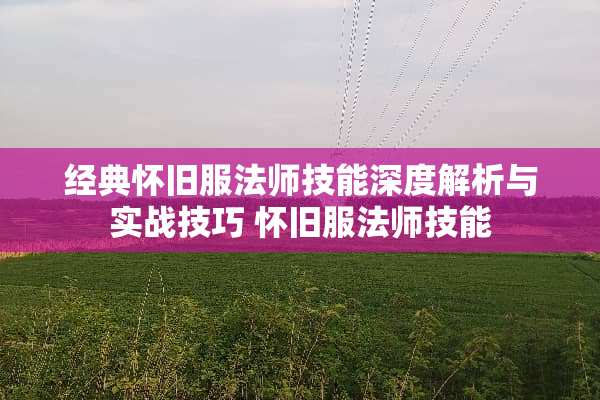 经典**服法师技能深度解析与实战技巧**服法师技能 经典**服法师技能深度解析与实战技巧**服法师技能