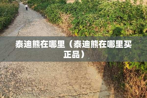 泰迪熊在哪里（泰迪熊在哪里买正品）