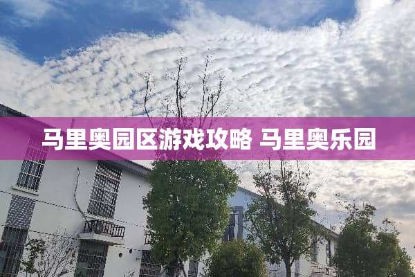 马里奥园区游戏攻略 马里奥乐园