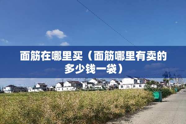 面筋在哪里买(面筋哪里有卖的多少钱一袋) 面筋在哪里买(面筋哪里有卖的多少钱一袋)