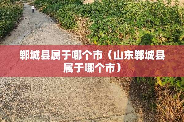 郸城县属于哪个市（山东郸城县属于哪个市）