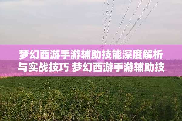 梦幻西游手游辅助技能深度解析与实战技巧 梦幻西游手游辅助技能
