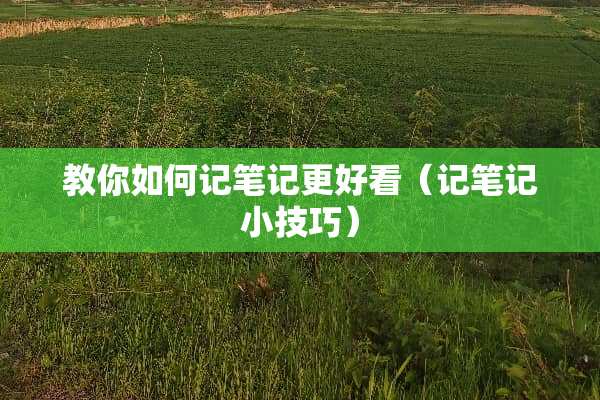 教你如何记笔记更好看(记笔记小技巧) 教你如何记笔记更好看(记笔记小技巧)