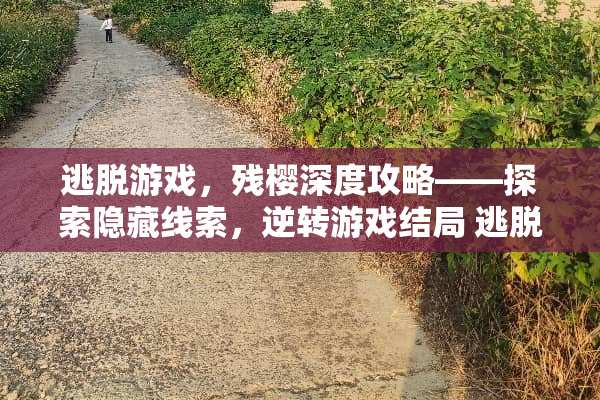 逃脱游戏，残樱深度攻略——探索隐藏线索，逆转游戏结局 逃脱游戏残樱游戏攻略