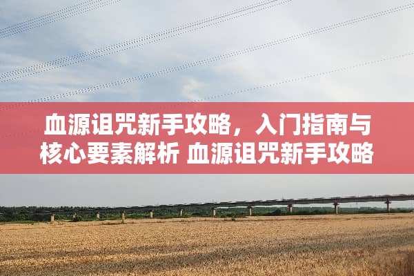 血源诅咒新手攻略，入门指南与核心要素解析 血源诅咒新手攻略