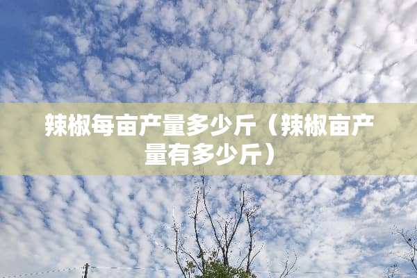 辣椒每亩产量多少斤（辣椒亩产量有多少斤）