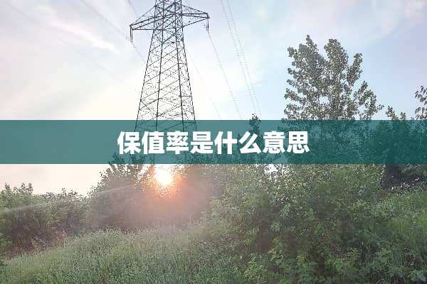 保值率是什么意思